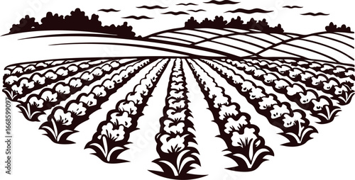 Stylized illustration of crop field rows with farm landscape and cloudy sky in vintage engraving