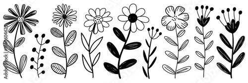 Hand-drawn Floral Elements in Monochrome Line Art Flower Collection