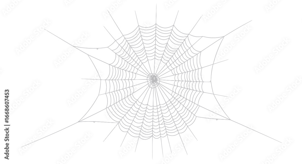 Obraz premium Intricate Spiderweb Illustration on White Background.