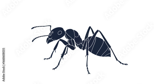 Detailed illustration of a black ant on a white background.