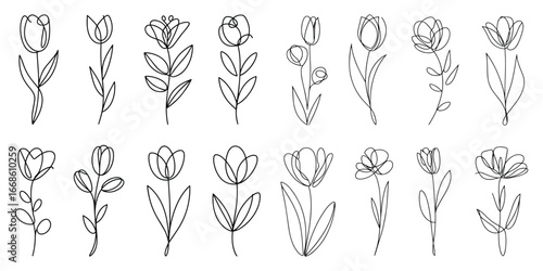 Collection hand drawn floral illustrations tulips and leaves, Tulip one line drawing, Minimalist contour drawing of tulip, Hand drawn sketch of flower with leaves, Hand-drawn floral illustrations