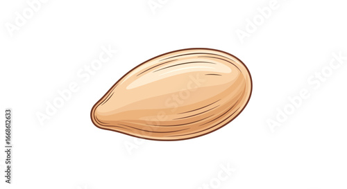Hand drawn colorful illustration of a single pumpkin seed.