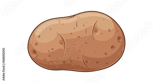 Close up of a single brown potato isolated on white background.