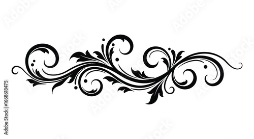 Elegant black floral swirl design element on white background silhouette