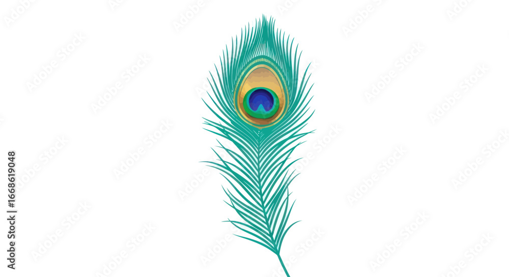 Obraz premium Vibrant Peacock Feather with Intricate Eye Pattern.