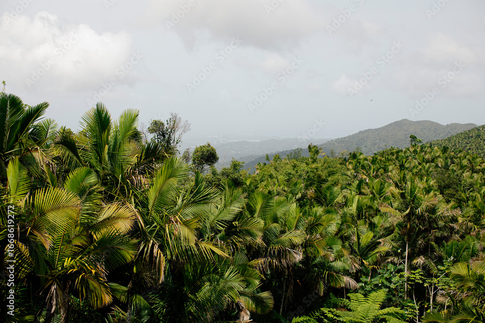 Obraz premium Puerto Rico