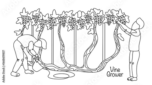 Vine Grower