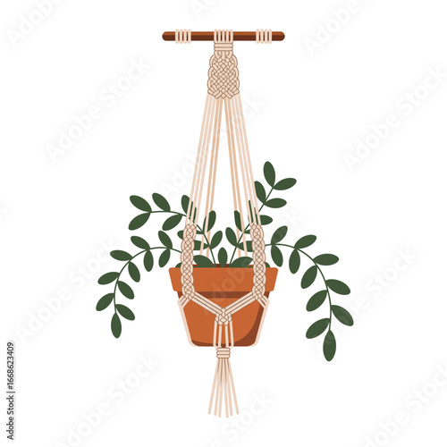 Bohemian macrame plant hanger with green plant inside against white background home decor handcrafted artistic decorative design simple style