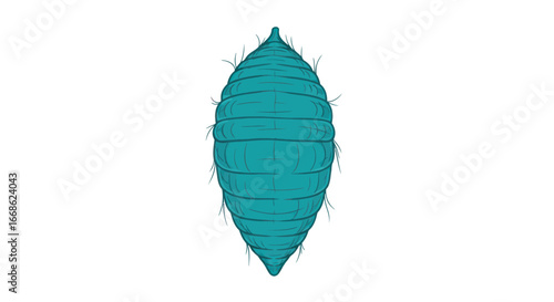Detailed illustration of a cyan colored aphid insect isolated on white.