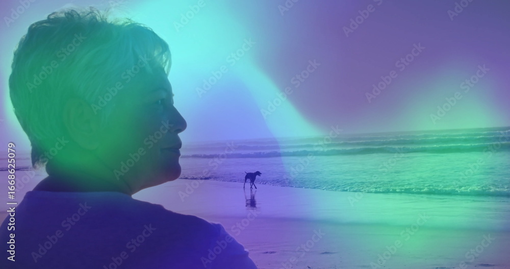 Fototapeta premium Standing senior woman gazing toward ocean horizon on wet sand beach, with small dog, copy space