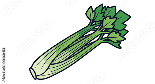 Fresh Celery Bunch Illustration for Healthy Eating and Cooking.
