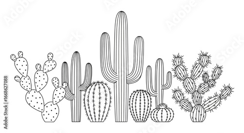 Assortment of line art cactus and succulent plants, desert botanical illustration on isolated white background.