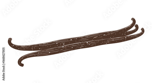 Two aromatic dark brown vanilla beans for culinary use.