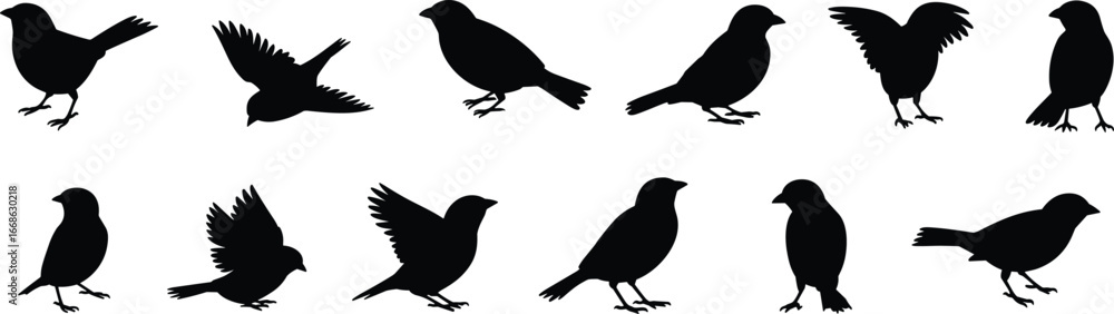 Obraz premium Bird silhouette collection, flying birds, perched birds, standing birds, black bird shapes, wildlife icons, avian poses, nature illustration, vector set