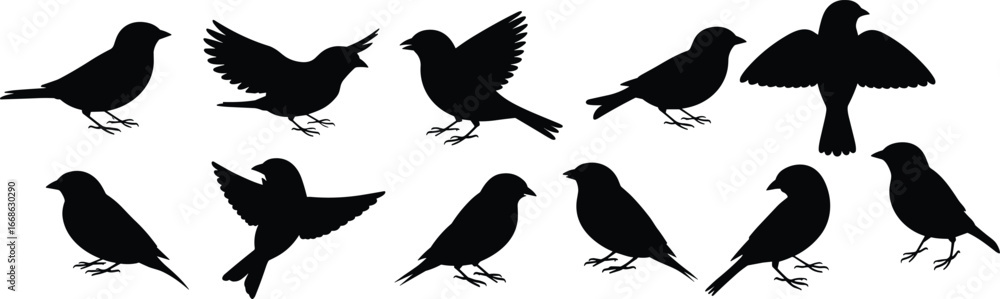 Obraz premium Bird silhouette set, flying birds, perched birds, standing birds, black bird icons, nature shapes, wildlife vector, avian poses, animal illustration