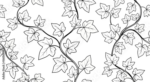 Seamless pattern of climbing ivy vines and leaves in outline style on an isolated white background