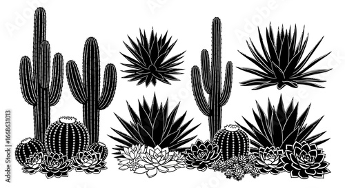 Desert landscape scene with various cactus and succulent plant silhouettes on an isolated white background
