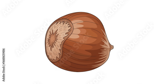Single hazelnut with brown shell and cap.