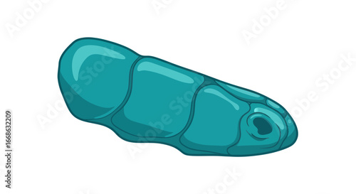 Teal Organic Segmented Object With Hole Isolated.