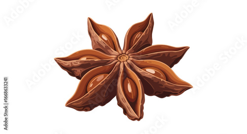 Single Star Anise Spice Close-Up.