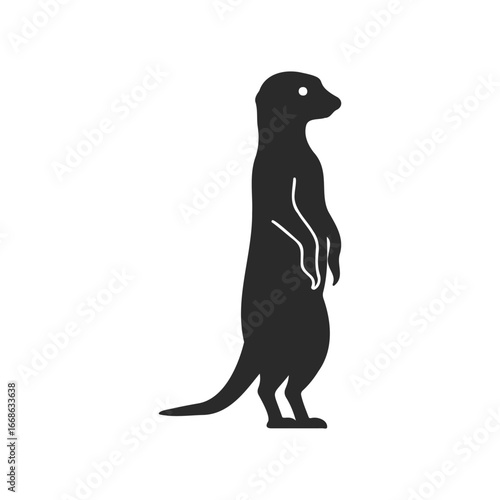 Silhouette of standing meerkat on white background