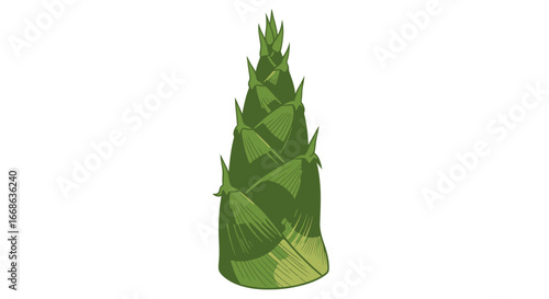 Fresh green bamboo shoot illustration for Asian cuisine and healthy eating.