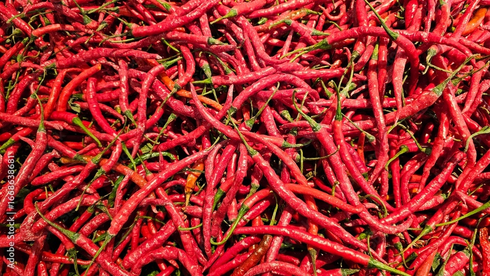 Fototapeta premium Red chillies displayed in a shop for sale