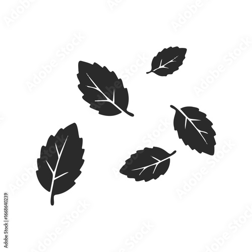 Silhouette of mint leaves on white background
