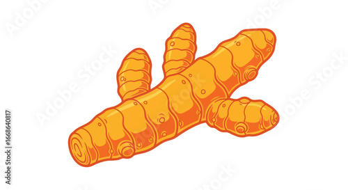 Single Turmeric Root Close Up View.