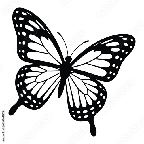 Elegant black and white monarch butterfly illustration