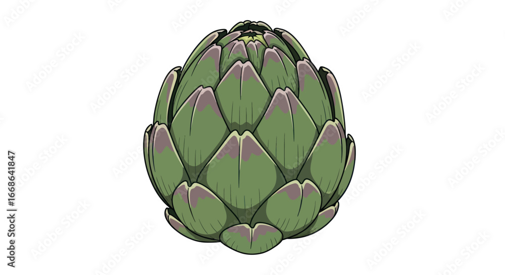Fototapeta premium Detailed Artichoke Illustration for Culinary and Botanical Themes.