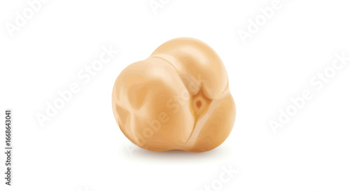 Single Beige Chickpea Isolated on White Background.