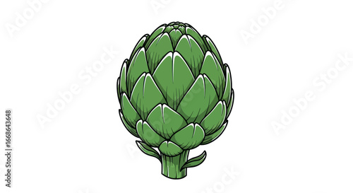 Whole Green Artichoke Vegetable Illustration.