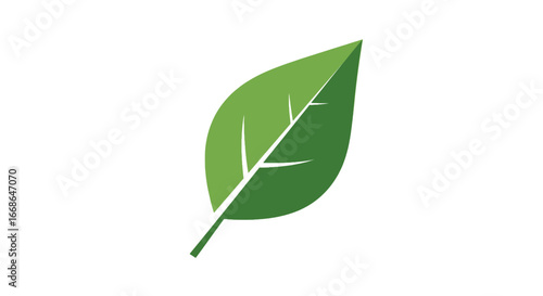 Stylized green leaf graphic element representing freshness, nature, and environmental conservation. A vector illustration for eco-friendly concepts