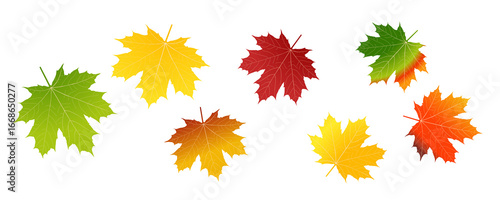 Whirling Autumn Leaves PNG Set (EPS10) on White Background