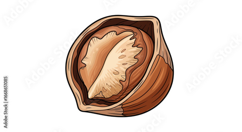 Close up of a halved hazelnut showing its inner kernel.