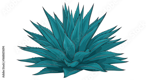 Vibrant Teal Agave Plant Isolated on White Background.
