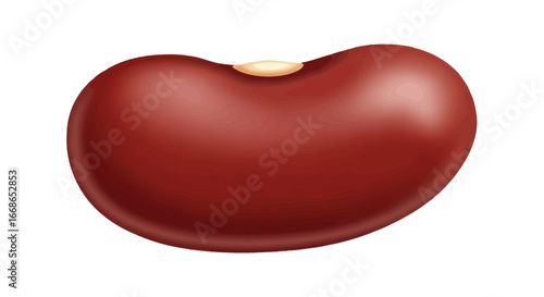 Close Up of a Single Red Kidney Bean.