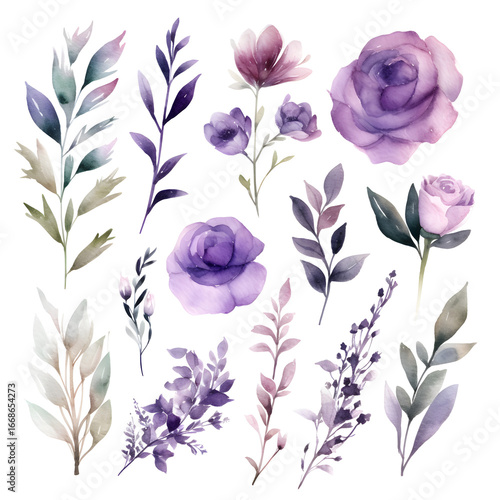 Fototapeta Naklejka Na Ścianę i Meble -  purple watercolor flowers