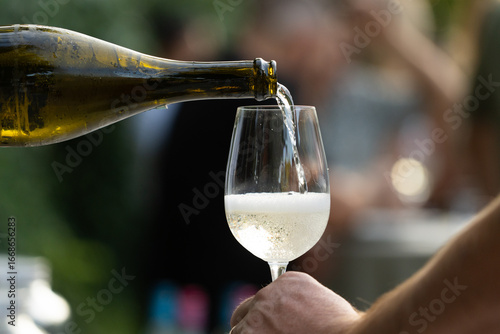 Bere vino