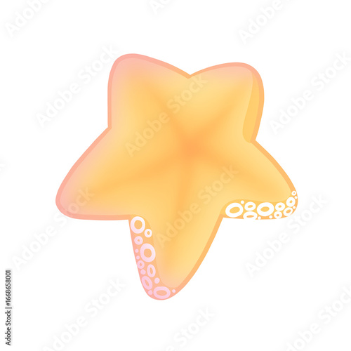 starfish 