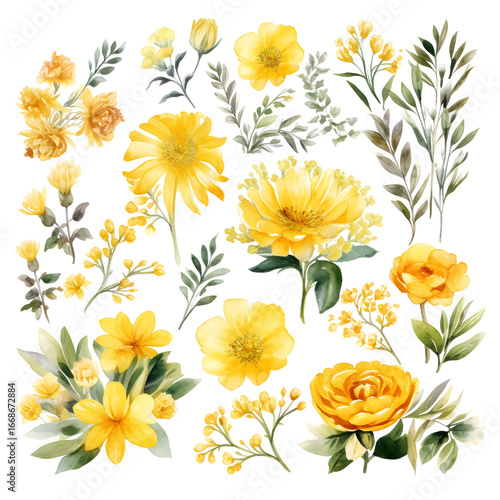 yellow flower watercolor