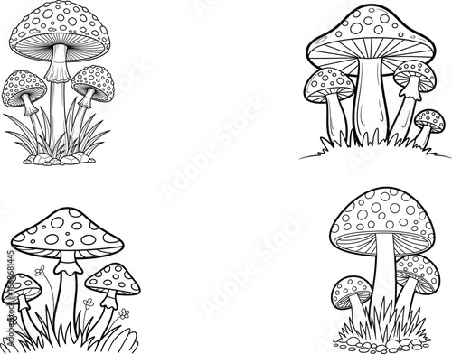 Hand drawn mushroom illustrations, forest fungi black and white clipart, toadstool coloring page, wild mushrooms vector art design