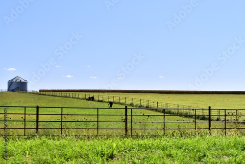 Farm Field
