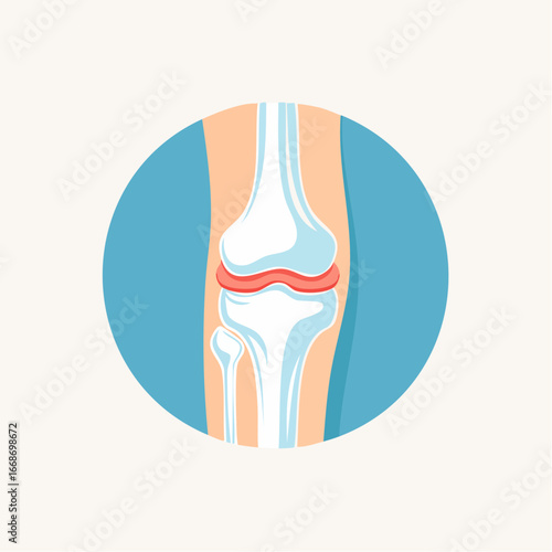 Human Knee Joint Illustration Medical Diagram in Vector Format for Anatomy Study