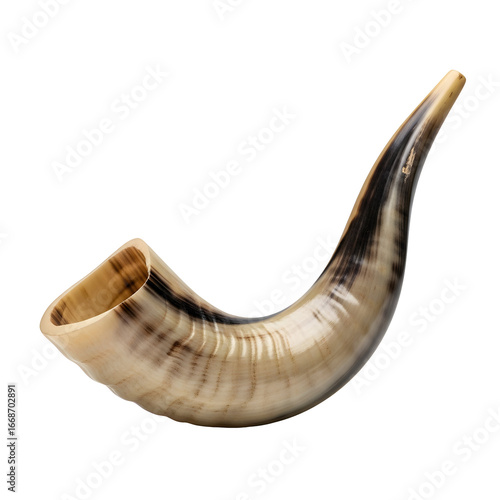 Traditional Shofar Rams Horn Used in Jewish Religious Ceremonies.