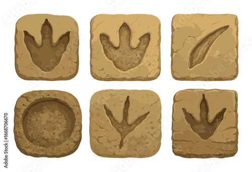 Dinosaur fossil imprints on stone: footprints and leaf pattern in rock tiles