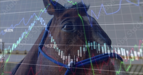 Merging brown horse wearing halter into digital overlay with candlesticks, line graphs +6