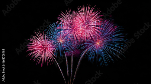 enchanting fireworks display illuminates night sky with intricate floral patterns