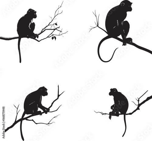 Black silhouette of a monkey sitting on a branch, white background, simple flat illustration style, vector graphic logo design for a t-shirt print, minimalistic.eps